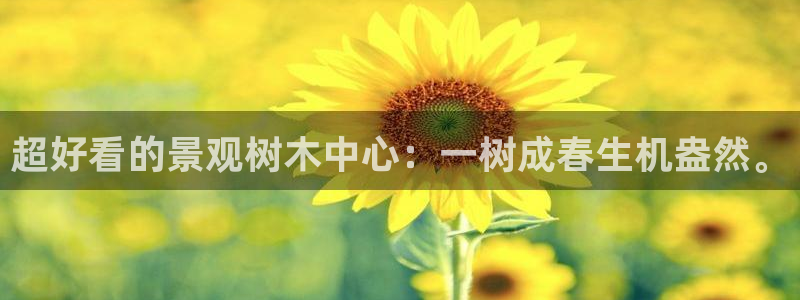 新宝gg 金苹果