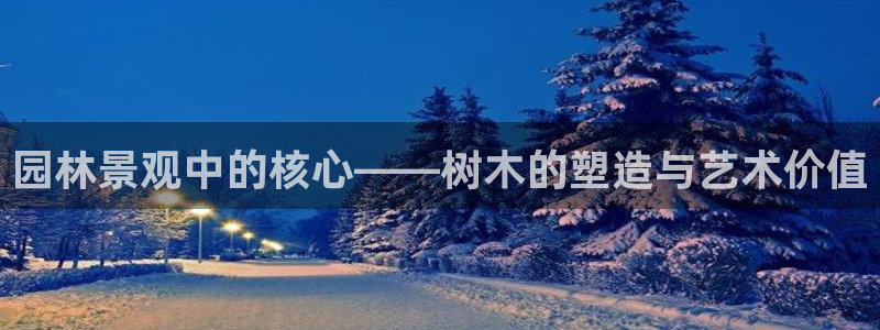 新宝gg官网
