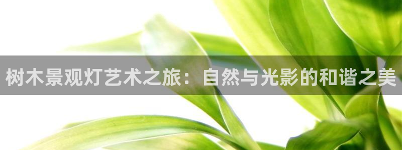 新宝gg地址新宝二
