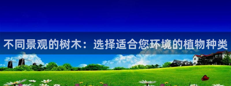 新宝GG电话