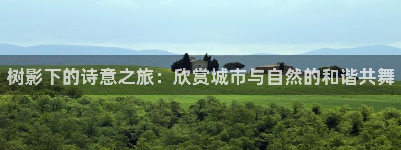 新宝GG手机客户端