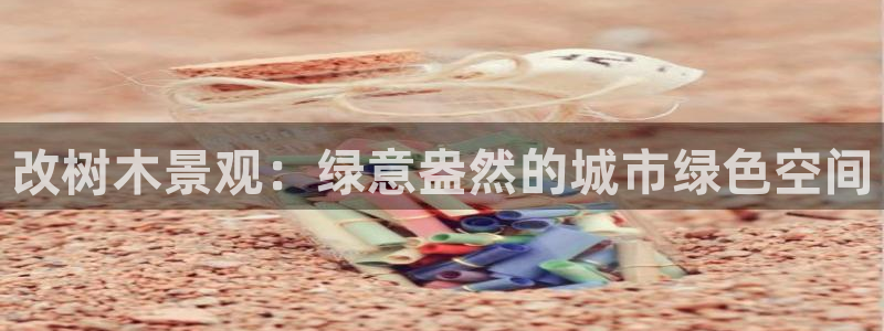 新宝gg娱乐1956