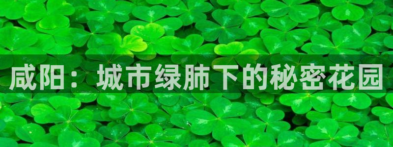 新宝gg创造