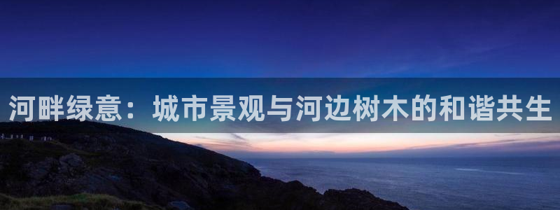 新宝gg有假吗