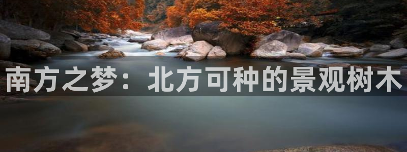 登录新宝gg游戏