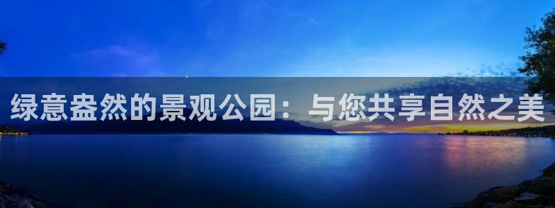 新宝gg直
