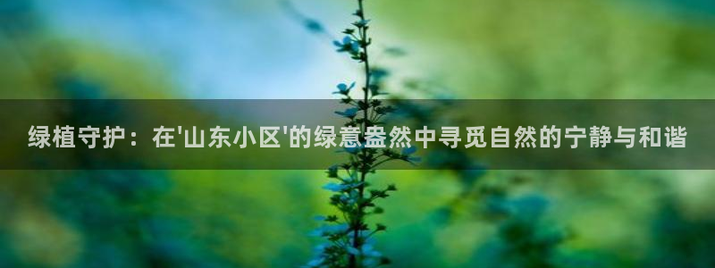 行新宝gg