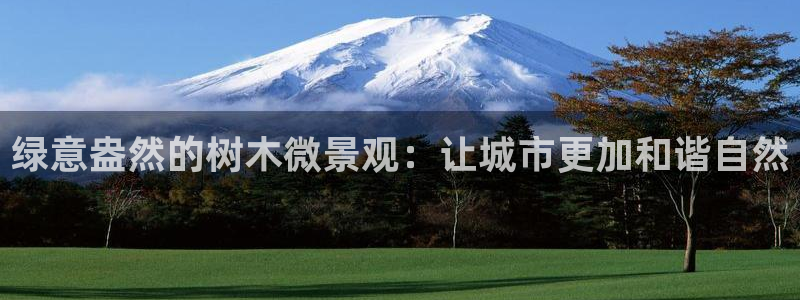 新宝gg套利
