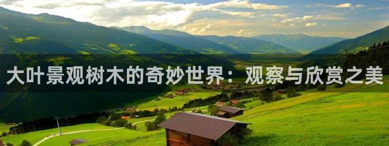 新宝gg dengludizhi