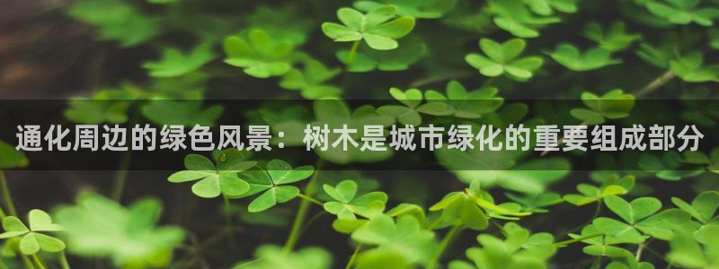 新宝gg真的
