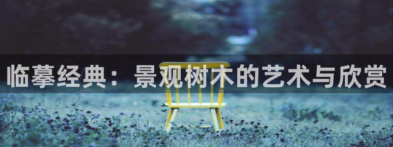 新宝gg客服电话