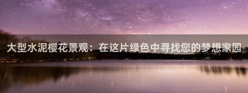 新宝gg盈亏