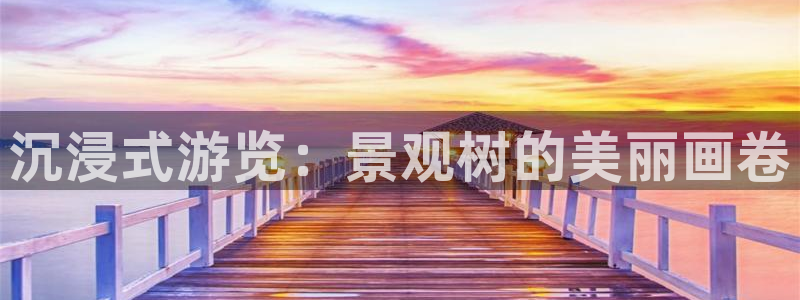 新宝gg计划