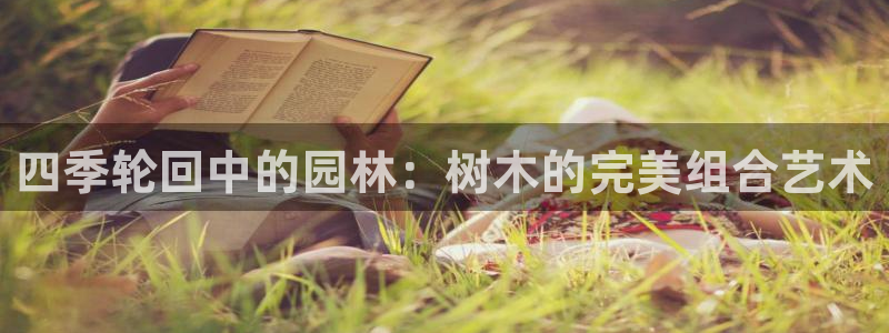 新宝gg用哪个浏览器