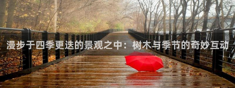 新宝gg平台开发