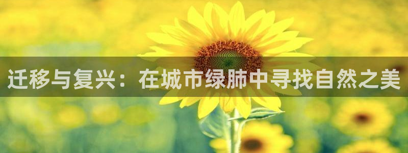 新宝GG 黑钱