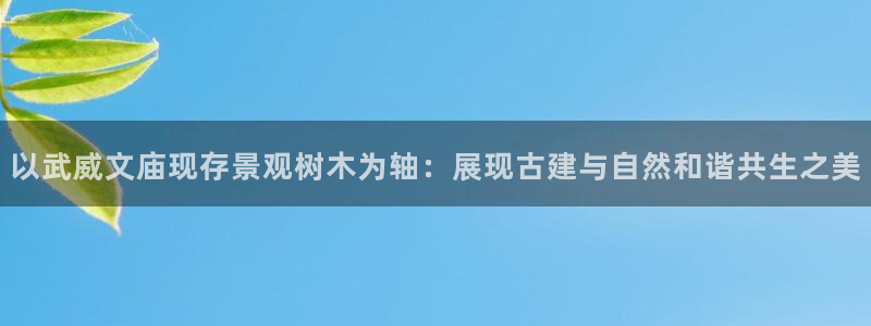 网站是新宝gg