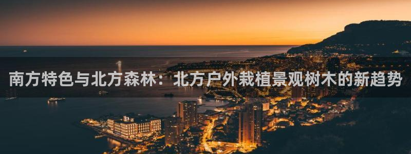 新宝gg — 创造!