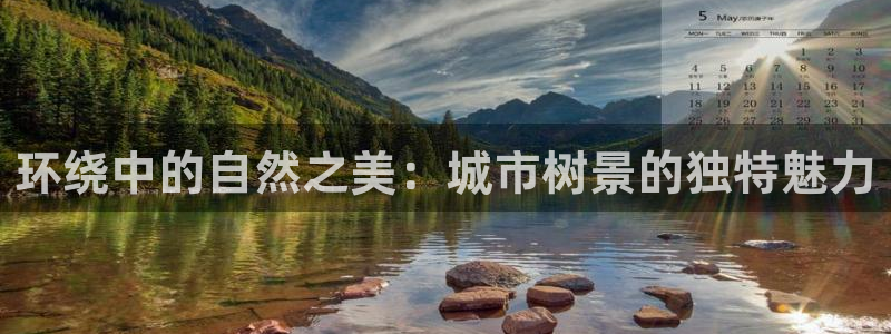 新宝GG绿色