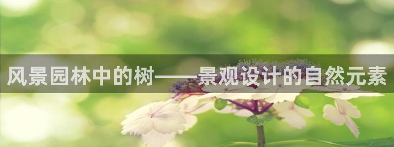 新宝gg主管111