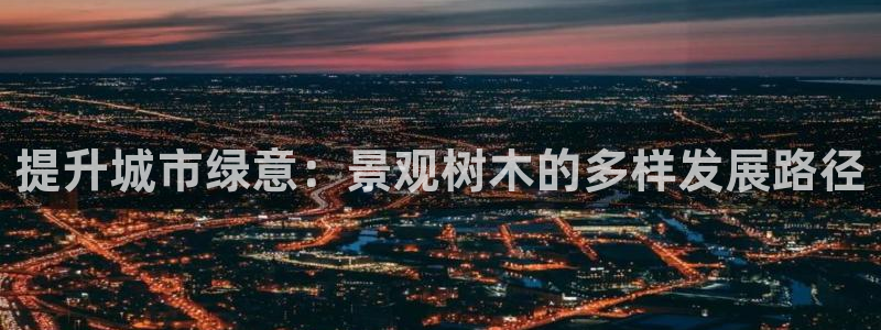 新宝给gg