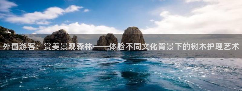 新宝GG—创造奇迹