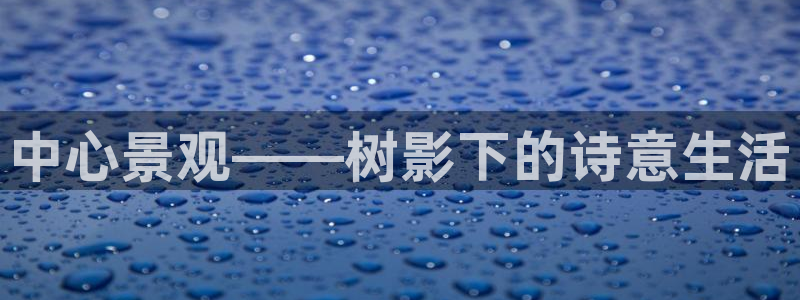 网站新宝GG