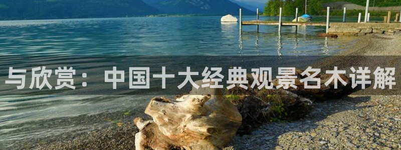 新宝gg和新宝123