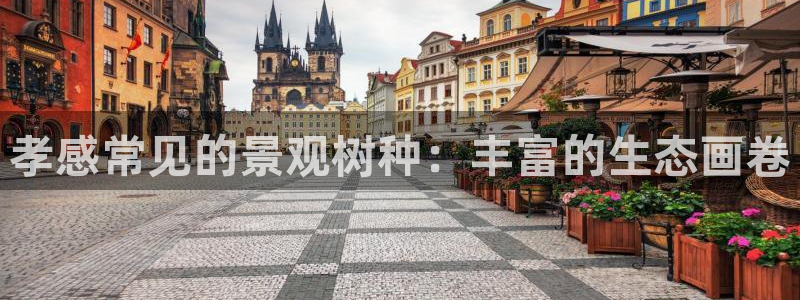 新宝gg建立团队