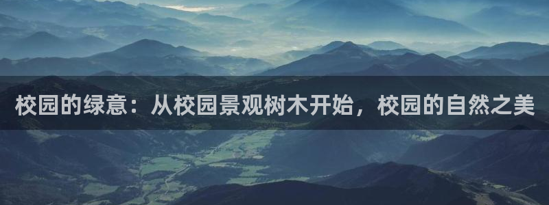 新宝gg—创造