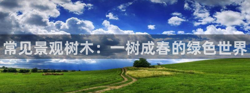 新宝gg辅助