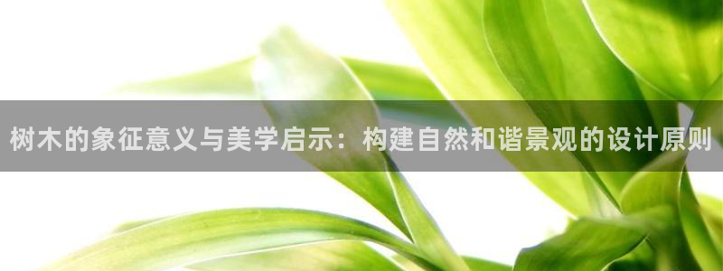 新宝gg博客