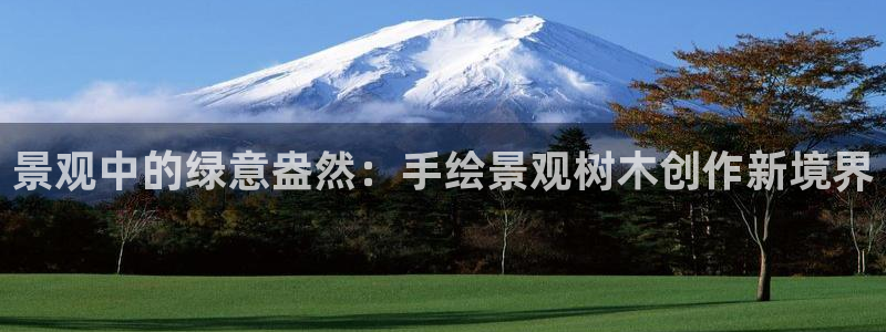 新宝gg游戏