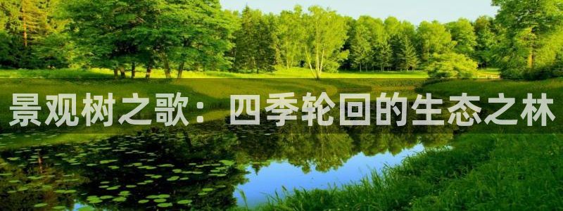 新宝gg   创造