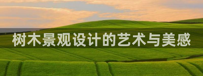 新宝gg怎么做代理