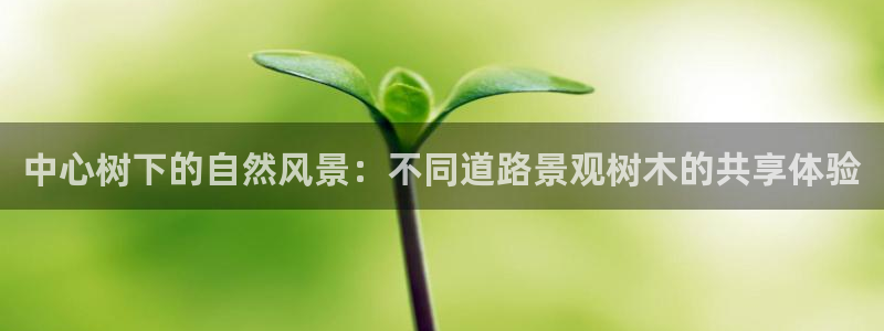 新宝gg 创造奇迹