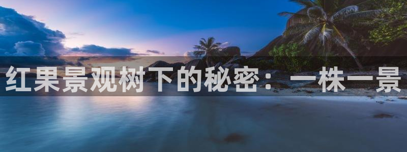 新宝GG无法充值