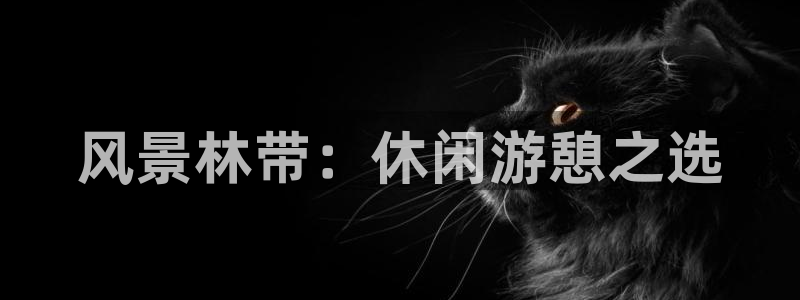 新宝gg 创造奇迹