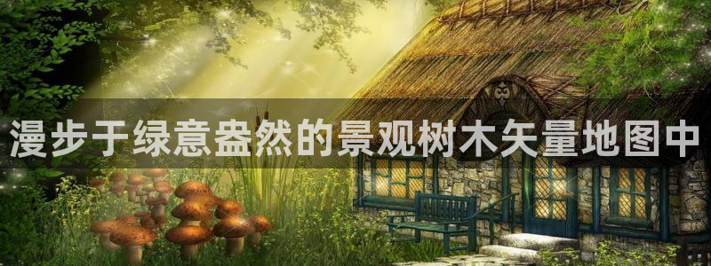 11新宝gg