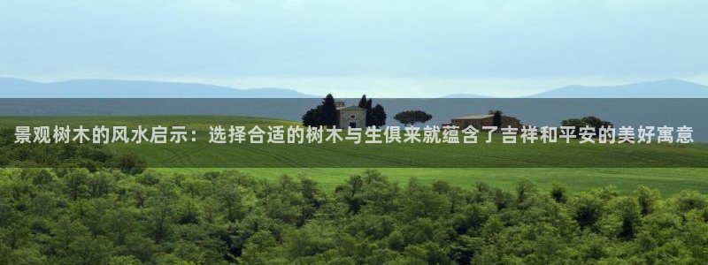 新宝gg作弊