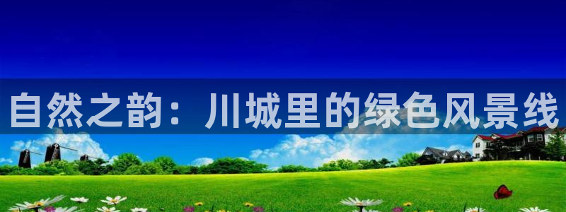 新宝gg成立
