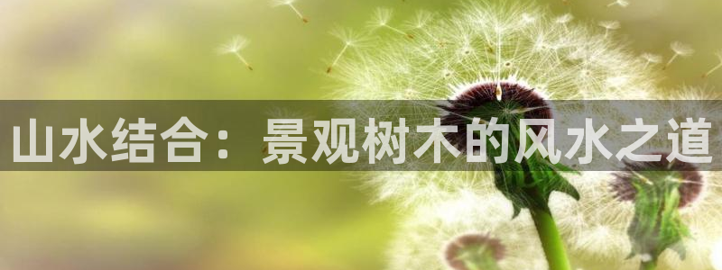 新宝gg待遇