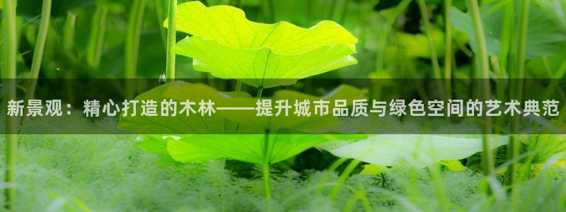 新宝gg(52360)：新景观：精心打造的木林——提升城市品质与绿色空间的艺术典范