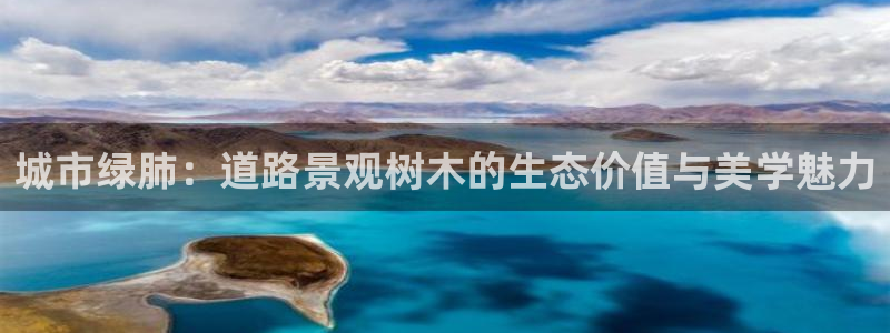 新宝gg总代理：城市绿肺：道路景观树木的生态价值与美学魅力