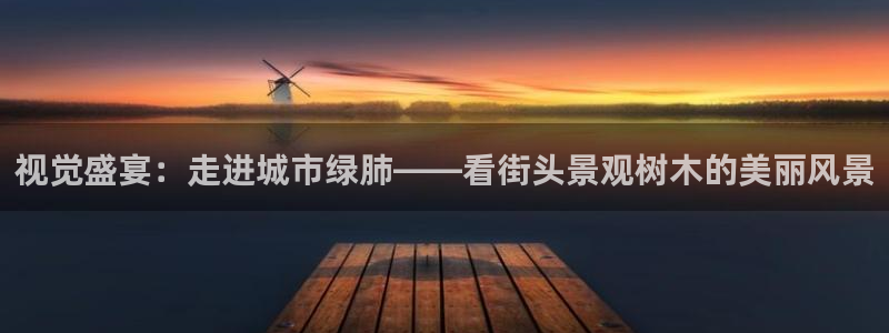 新宝gg开户流程