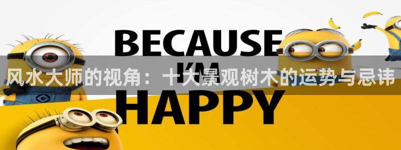 新宝gg地址新宝二