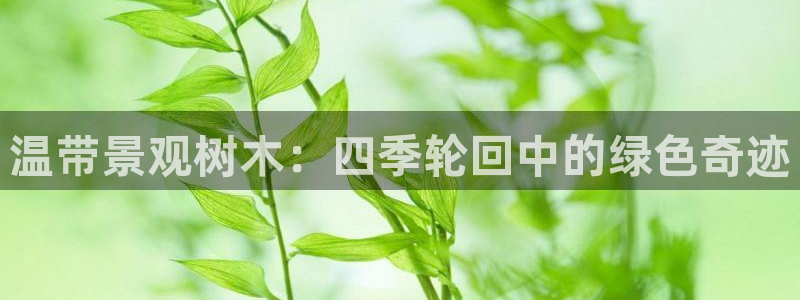 新宝gg ios下载