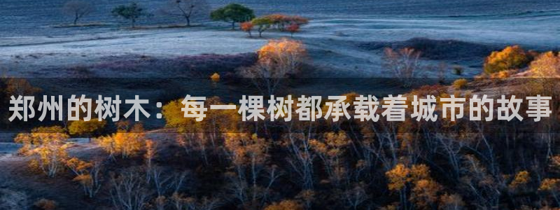 新宝gg创造奇迹下载