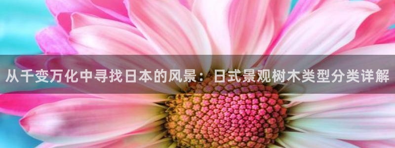 新宝GG主管41333：从千变万化中寻找日本的风景：日式景观树木类型分类详解