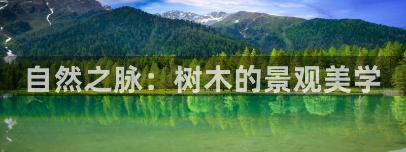 新宝gg直属上级